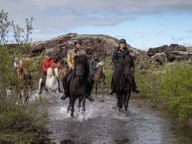 Viking Horses Mjölnir Afternoon Tour
